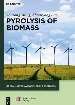 Pyrolysis of Biomass - Wang, Shurong;Luo, Zhongyang