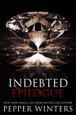 Indebted Epilogue (eBook, ePUB)