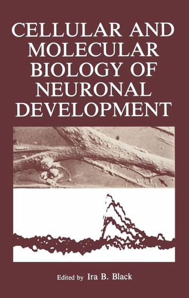 Cellular and Molecular Biology of Neuronal Development (eBook, PDF) Cellular and Molecular Biology of Neuronal Development (eBook, PDF)