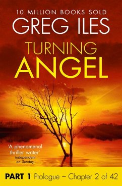 Turning Angel: Part 1, Prologue to Chapter 2 inclusive (eBook, ePUB) - Iles, Greg