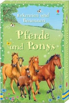 Erkennen und Benennen: Pferde und Ponys - Khan, Sarah