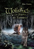Wolfsfluch / Im Schatten der Todessteine Bd.1 (eBook, ePUB)