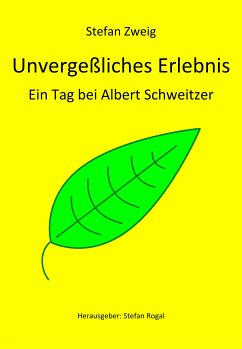 Unvergeßliches Erlebnis (eBook, ePUB) - Zweig, Stefan