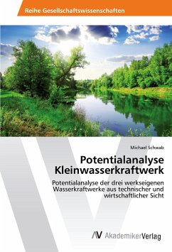 Potentialanalyse Kleinwasserkraftwerk - Schwab, Michael