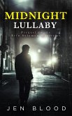Midnight Lullaby (Erin Solomon Mysteries ) (eBook, ePUB)