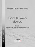 Dans les mers du sud (eBook, ePUB)