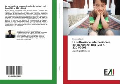 La sottrazione internazionale dei minori nel Reg (CE) n. 2201/2003