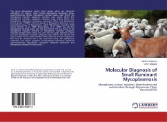 Molecular Diagnosis of Small Ruminant Mycoplasmosis