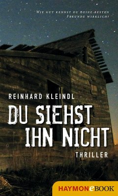 Du siehst ihn nicht (eBook, ePUB) - Kleindl, Reinhard