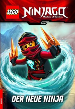 LEGO® NINJAGO(TM) Der neue Ninja