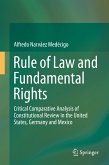 Rule of Law and Fundamental Rights (eBook, PDF)