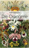 Die Orangerie (eBook, ePUB)