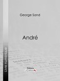 André (eBook, ePUB)
