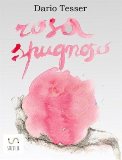 Rosa spugnoso (eBook, PDF) - Tesser, Dario