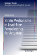 Strain Mechanisms in Lead-Free... - Bild 1