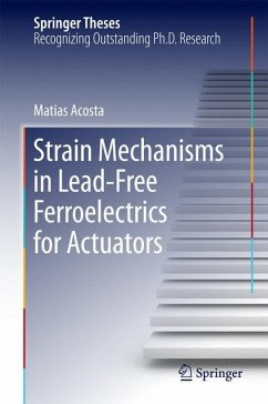 Strain Mechanisms in Lead-Free Ferroelectrics for Actuators - Acosta, Matias