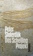 Das Schelling-Projekt - Bild 1