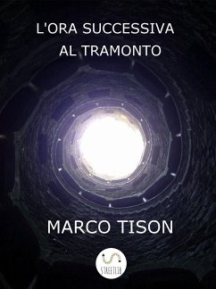 L'ora successiva al tramonto (eBook, ePUB) - Tison, Marco