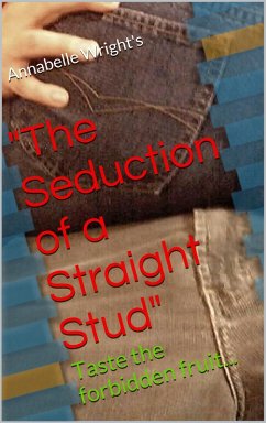 Cover Seducing a Straight Stud (eBook, ePUB)