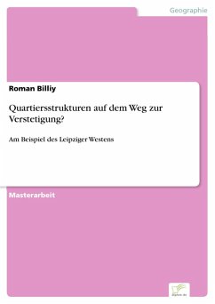 Quartiersstrukturen auf dem Weg zur Verstetigung? (eBook, PDF) - Billiy, Roman