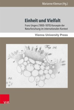 Einheit und Vielfalt (eBook, PDF)