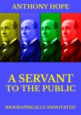 A Servant of the Public (eBook, ePUB)