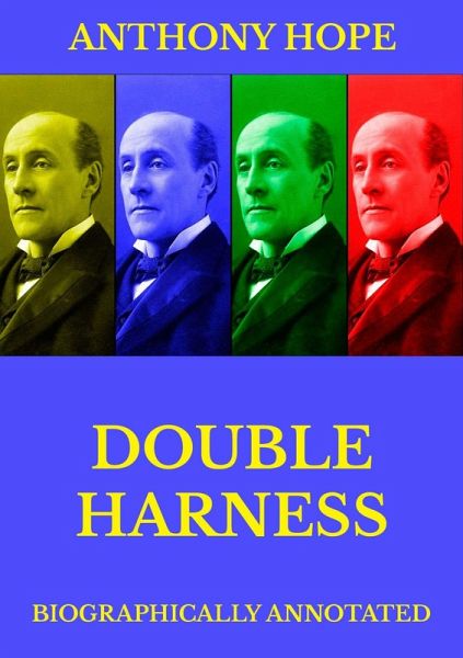 Double Harness (eBook, ePUB)