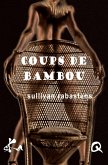 Coups de bambou (eBook, ePUB)