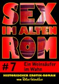 Sex im alten Rom 7 - Ein Weinsäufer im Wahn (eBook, ePUB)