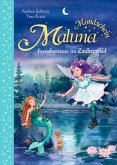 Feenabenteuer im Zauberwald / Maluna Mondschein Bd.7