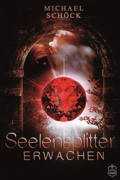 Erwachen / Seelensplitter Bd.1 (eBook, ePUB) - Schöck, Michael