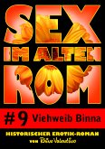 Sex im alten Rom 9 - Viehweib Binna (eBook, ePUB)