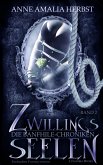 Zwillingsseelen (eBook, ePUB)