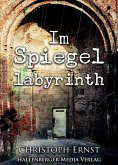 Im Spiegellabyrinth (eBook, ePUB)
