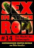 Sex im alten Rom 14 - Die Macht des Schwengels (eBook, ePUB)