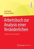 Arbeitsbuch zur Analysis einer Veränderlichen (eBook, PDF)