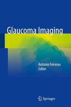 Glaucoma Imaging (eBook, PDF)