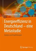 Energieeffizienz in Deutschland - eine Metastudie (eBook, PDF)