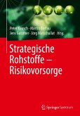 Strategische Rohstoffe — Risikovorsorge (eBook, PDF)