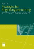 Strategische Regierungssteuerung (eBook, PDF)