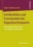 Familienleben und Erwerbsarbeit bei Doppelkarrierepaaren (eBook, PDF)
