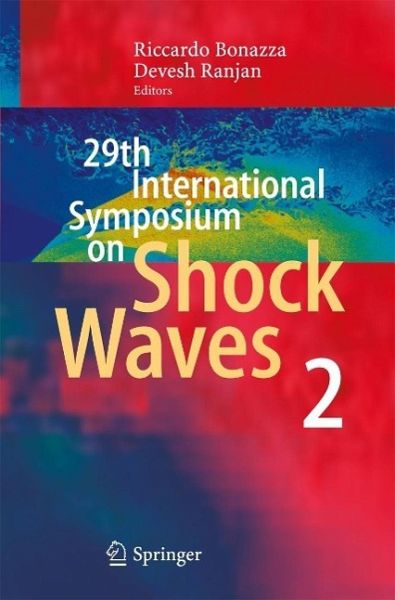 29th International Symposium on Shock Waves 2 (eBook, PDF)