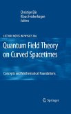 Quantum Field Theory on Curved Spacetimes (eBook, PDF)