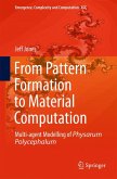 From Pattern Formation to Material Computation (eBook, PDF)
