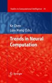 Trends in Neural Computation (eBook, PDF)