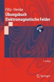 Übungsbuch Elektromagnetische Felder (eBook, PDF)