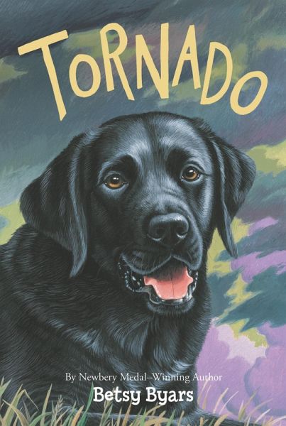 Tornado (eBook, ePUB)