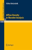 Affine Density in Wavelet Analysis (eBook, PDF)