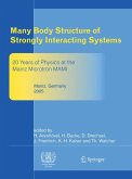 Many Body Structure of Strongly Interacting Systems (eBook, PDF)