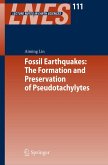 Fossil Earthquakes: The Formation and Preservation of Pseudotachylytes (eBook, PDF)